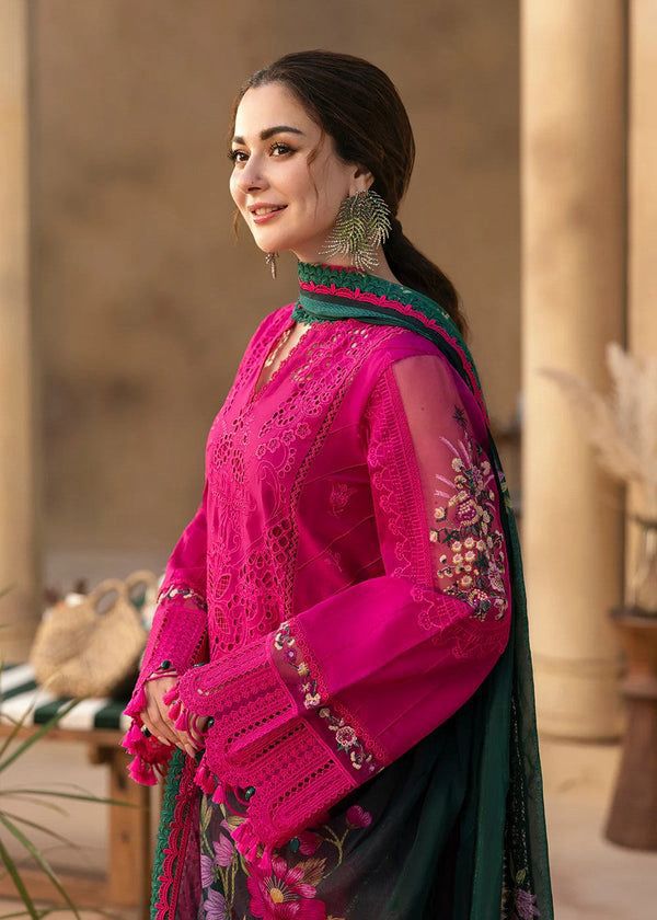 Bareeze Dhanak
